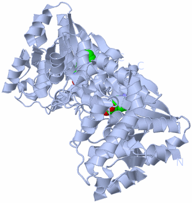 Image Biological Unit 2