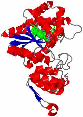 Image Asym. Unit - sites