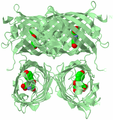 Image Biological Unit 2