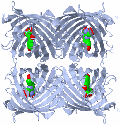 Image Biological Unit 1