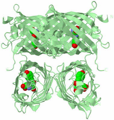 Image Biological Unit 2