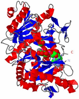 Image Asym./Biol. Unit