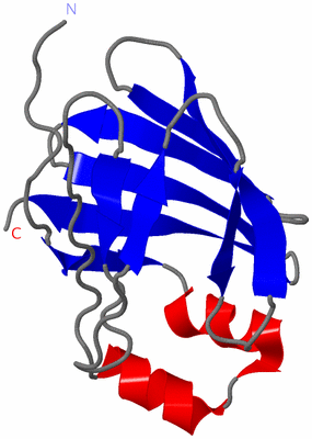 Image NMR Structure - model 1