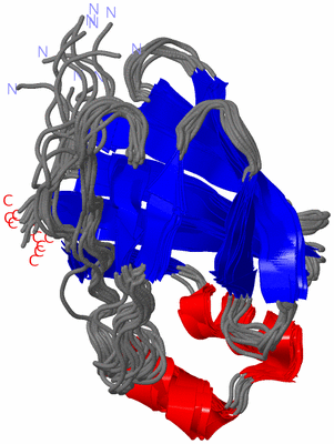 Image NMR Structure - all models