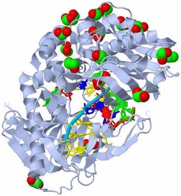 Image Biological Unit 1