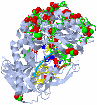 Image Biol. Unit 1 - sites