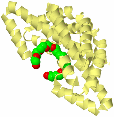 Image Biological Unit 3