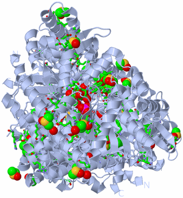 Image Biol. Unit 1 - sites