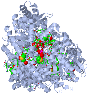 Image Biol. Unit 1 - sites