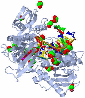 Image Biological Unit 1