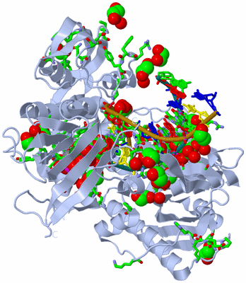 Image Biol. Unit 1 - sites