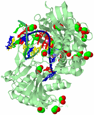 Image Biological Unit 2