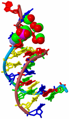 Image Biological Unit 3