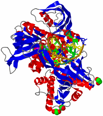 Image Asym./Biol. Unit