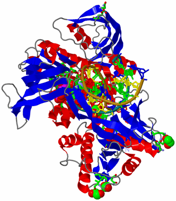 Image Asym./Biol. Unit - sites