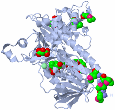 Image Biological Unit 1