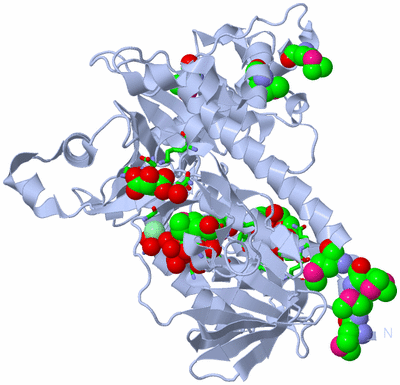 Image Biol. Unit 1 - sites