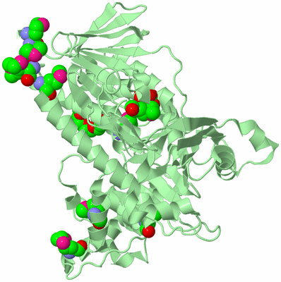 Image Biological Unit 2