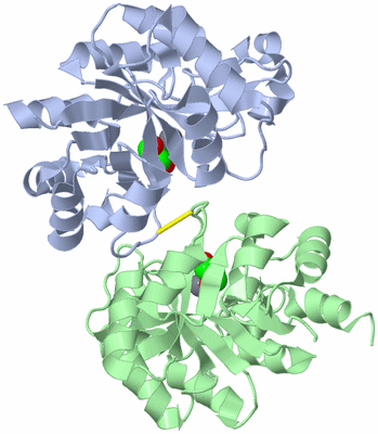 Image Asym./Biol. Unit