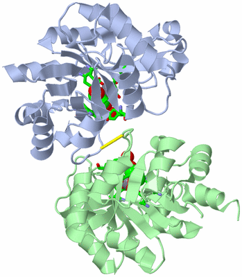 Image Asym./Biol. Unit - sites