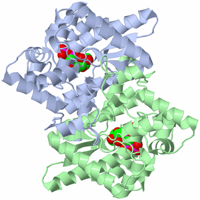 Image Asym./Biol. Unit