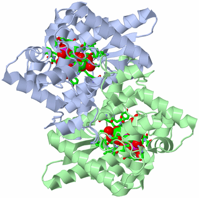 Image Asym./Biol. Unit - sites