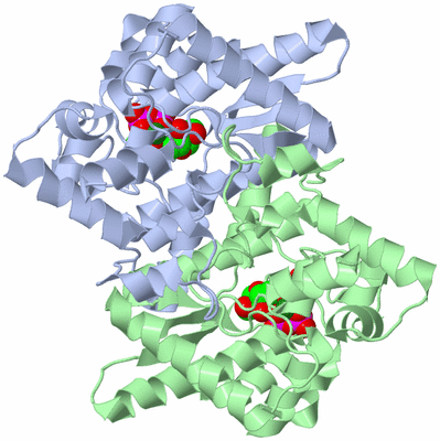 Image Asym./Biol. Unit