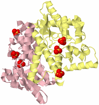 Image Biological Unit 2