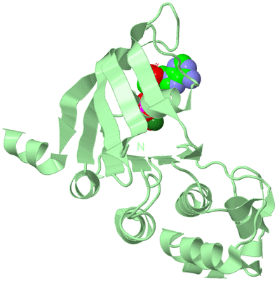 Image Biological Unit 2