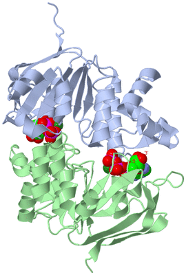 Image Biological Unit 3