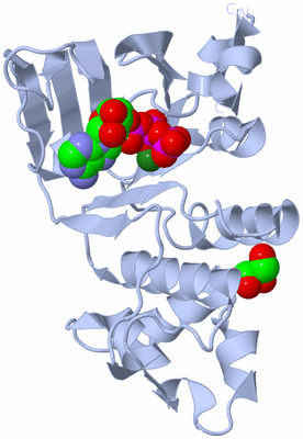 Image Biological Unit 1