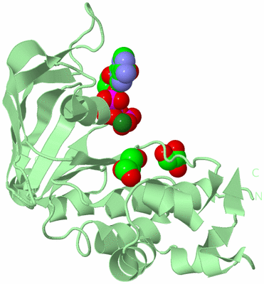 Image Biological Unit 2