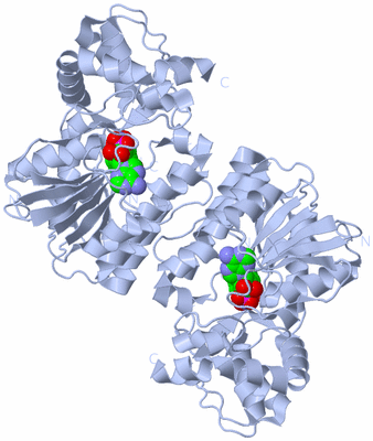 Image Biological Unit 1