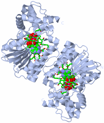 Image Biol. Unit 1 - sites