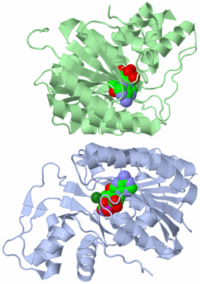 Image Asym./Biol. Unit