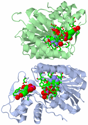 Image Asym./Biol. Unit - sites