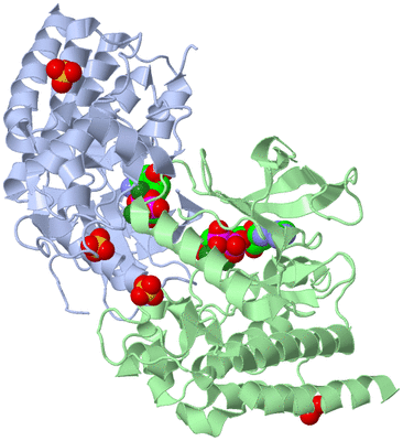 Image Asym./Biol. Unit