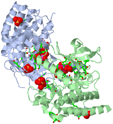 Image Asym./Biol. Unit - sites