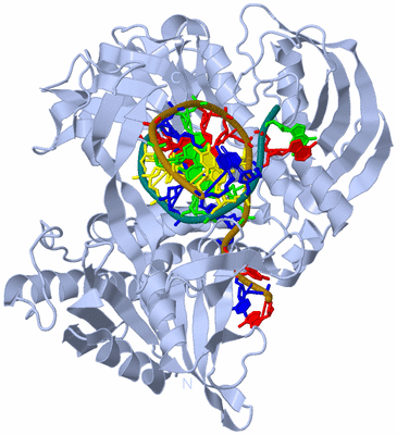 Image Biological Unit 1