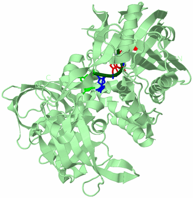 Image Biological Unit 2