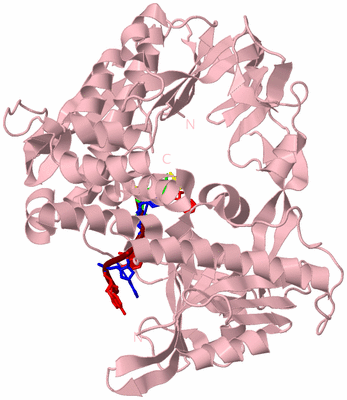 Image Biological Unit 3