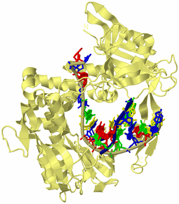 Image Biological Unit 4