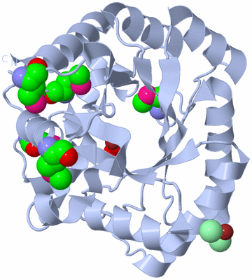 Image Biological Unit 1