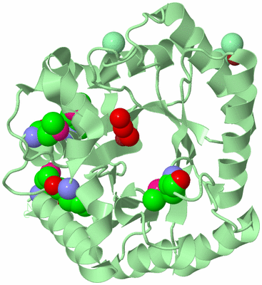 Image Biological Unit 2