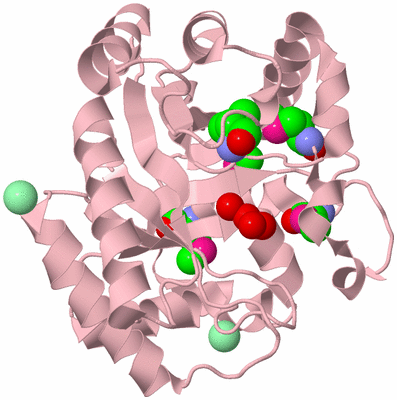 Image Biological Unit 3