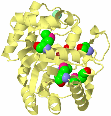 Image Biological Unit 4