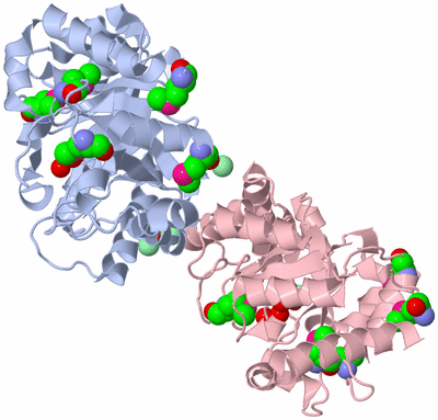 Image Biological Unit 5