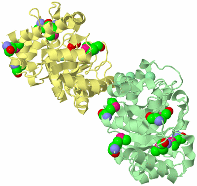 Image Biological Unit 6