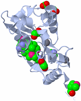 Image Biological Unit 1