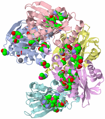 Image Biological Unit 10